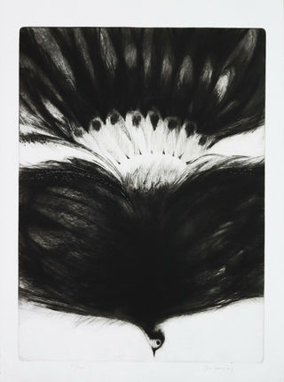 Jose-Faria-s-titulo-gravura-s-papel-no-75-200-mancha-655x485-cm-total-76x56-cm-1973