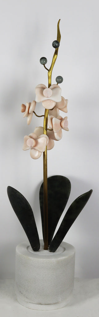 Carlos Rodrigues