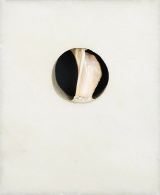 Joao-Cutileiro-s-titulo-escultura-em-marmore-e-concha-12x9-cm