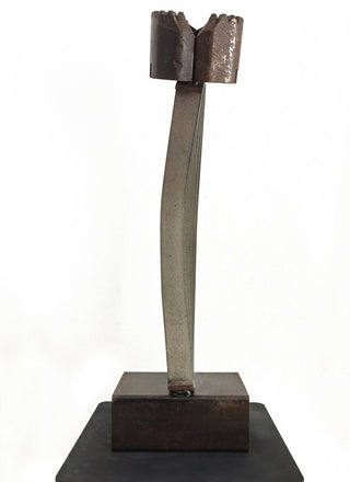 Carlos-Ferreira-3