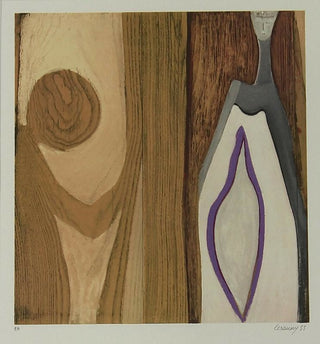Mário Cesariny | P55.ART.