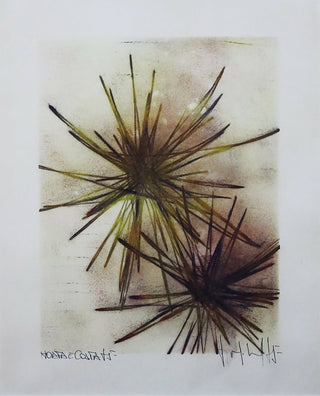 Horta e Costa - Horta e Costa