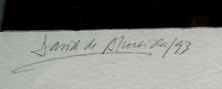 david-de-almeida-assinatura