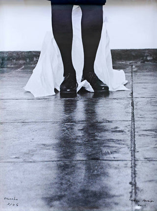 Helena Almeida - Helena Almeida