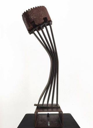Carlos-Ferreira-2