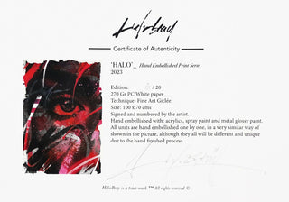 Helio-Bray-Halo-certificado