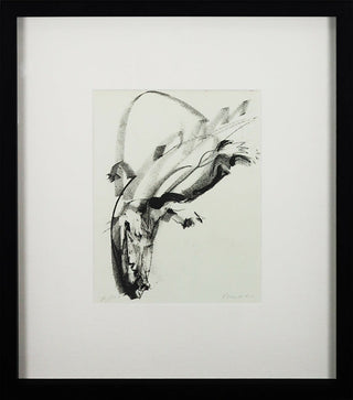 Julio-Pomar-Crocodilo-litografia