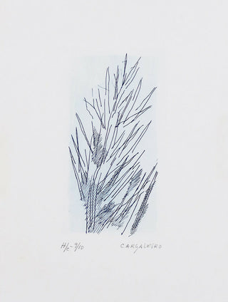 Manuel Cargaleiro