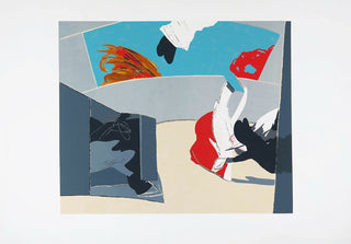 CR154-Pinho-Coelho-serigrafia-sobre-papel-no-HC15-25-dim-mancha-64x53-cm-dim-total-70x100-cm.