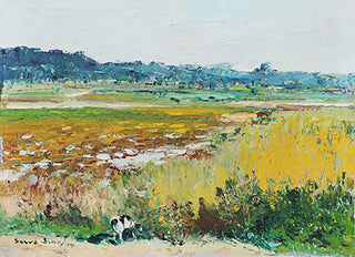 Silva Lino
